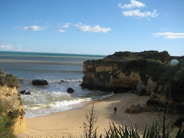 IMG 0886