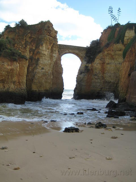IMG 0889