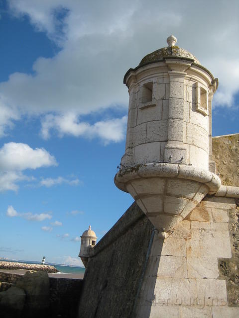 IMG 0894