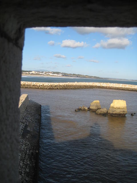 IMG 0908