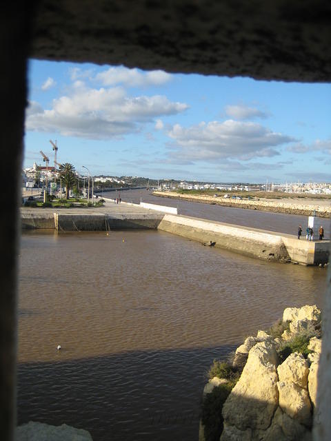 IMG 0909