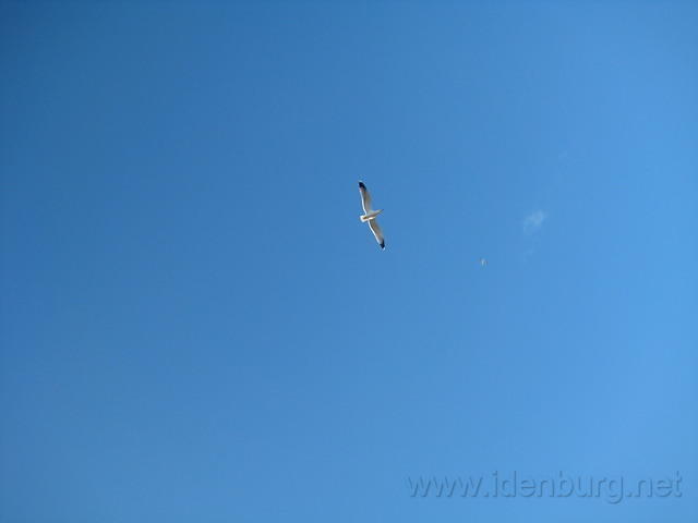 IMG 0911