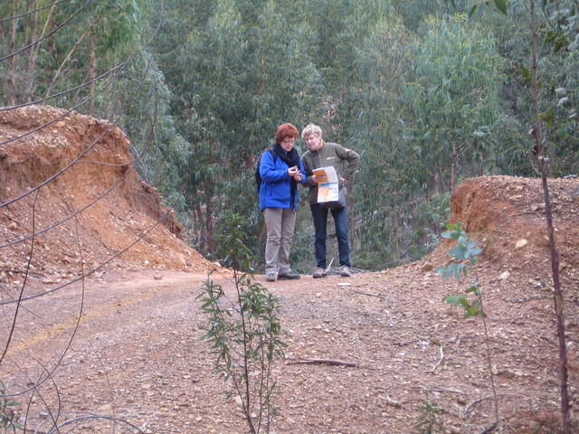 IMG 0919