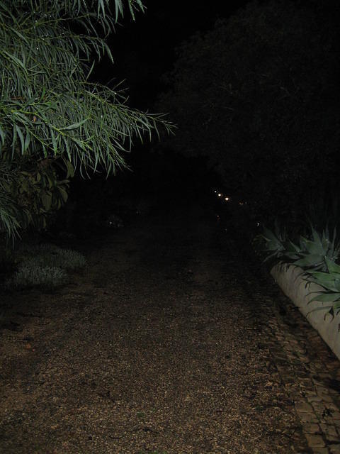 IMG 0883