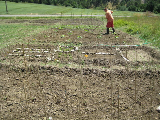 2009-06-20 Oppassen in Oppedtte 008