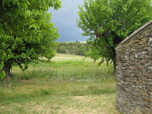 2009-06-20 Oppassen in Oppedtte 012