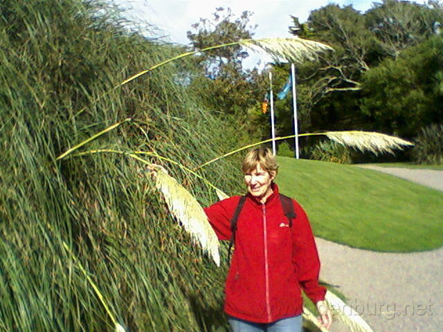 Foto's-0002
