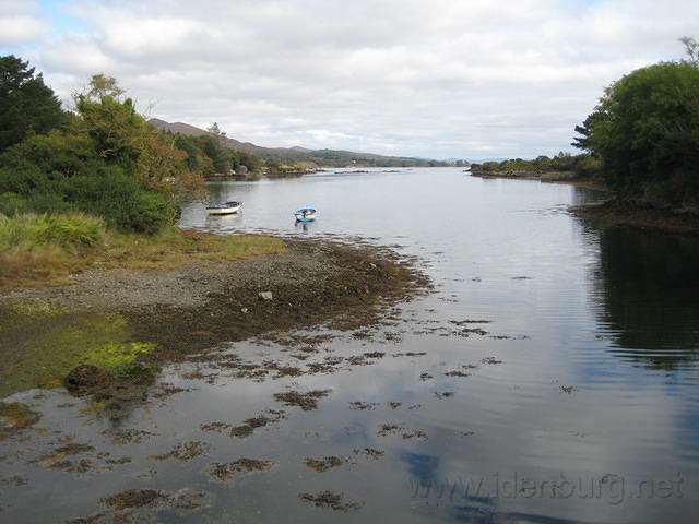 IMG 0823