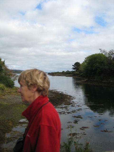 IMG 0824