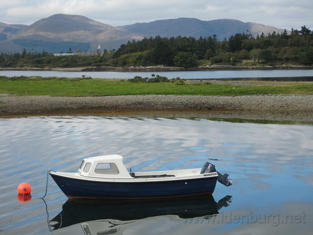 IMG 0825