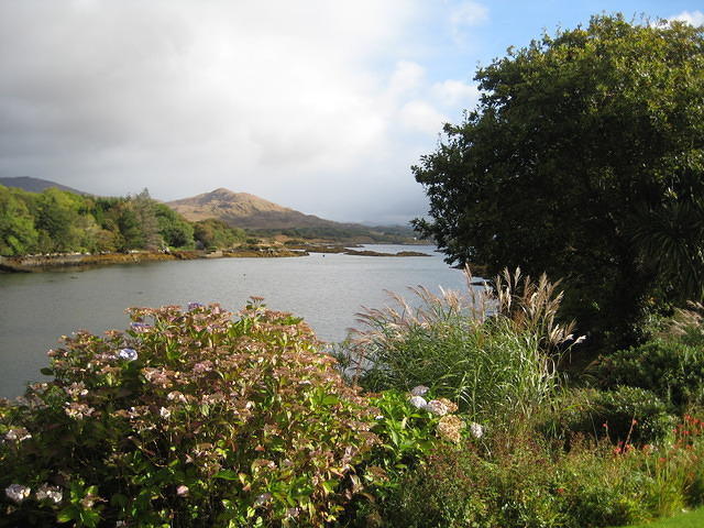 IMG 0831