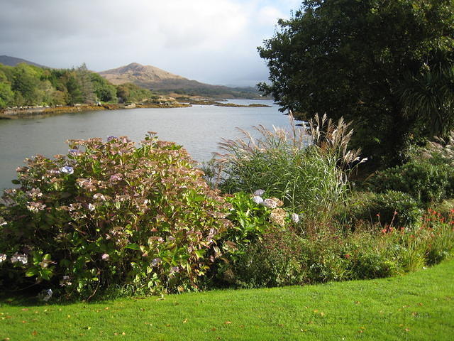IMG 0832