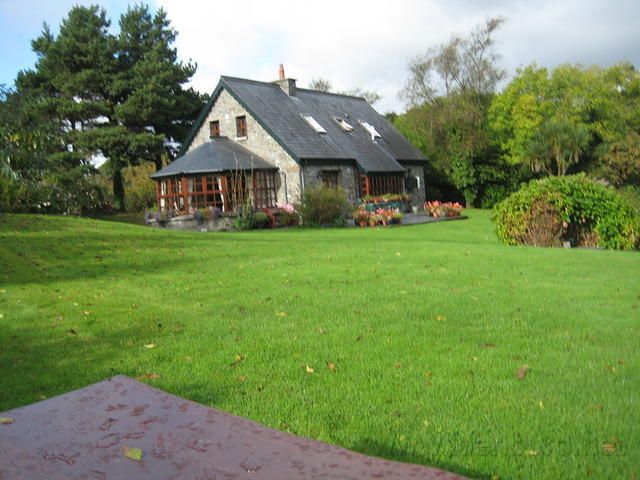 IMG 0835