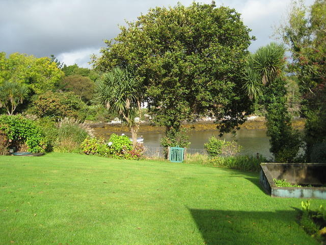 IMG 0836