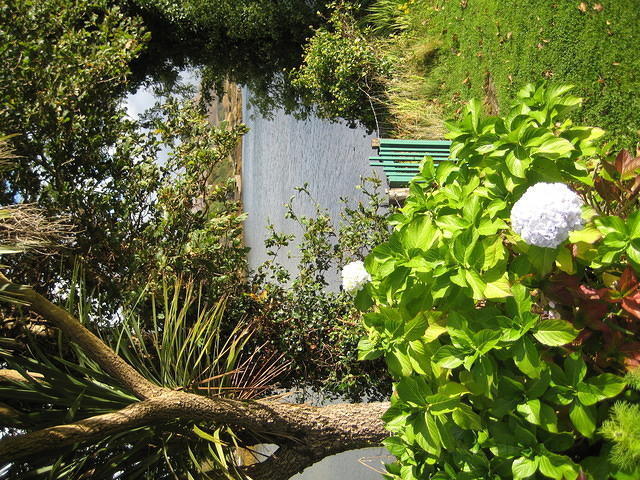 IMG 0838