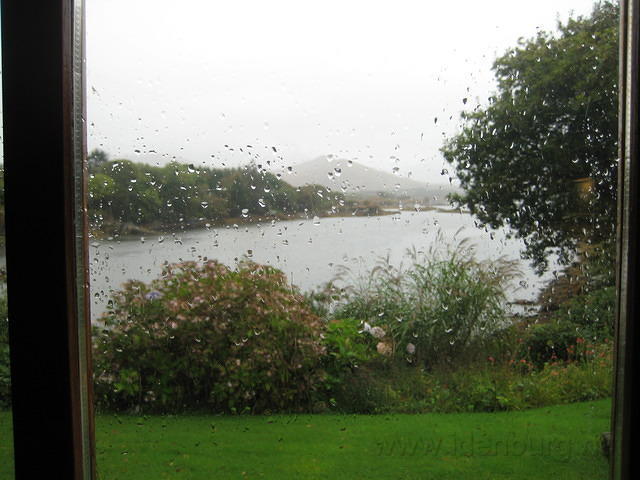 IMG 0845