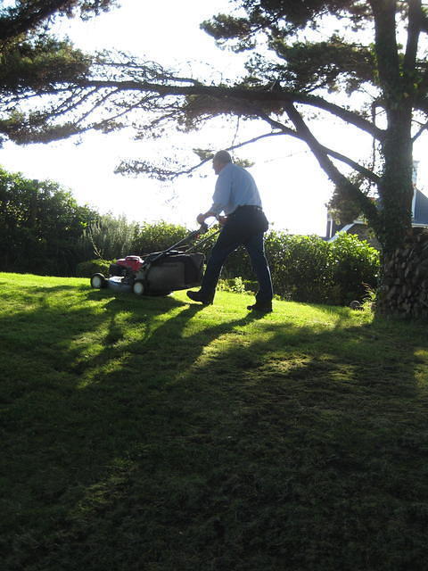 IMG 0847