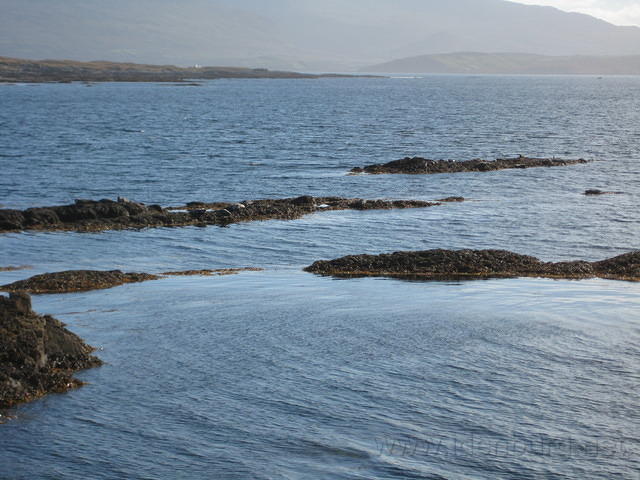 IMG 0854