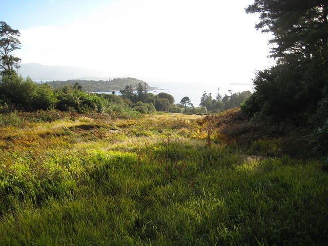 IMG 0857
