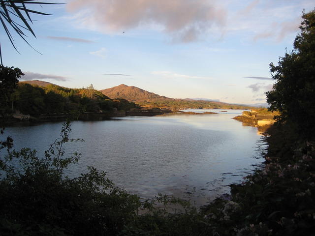IMG 0858