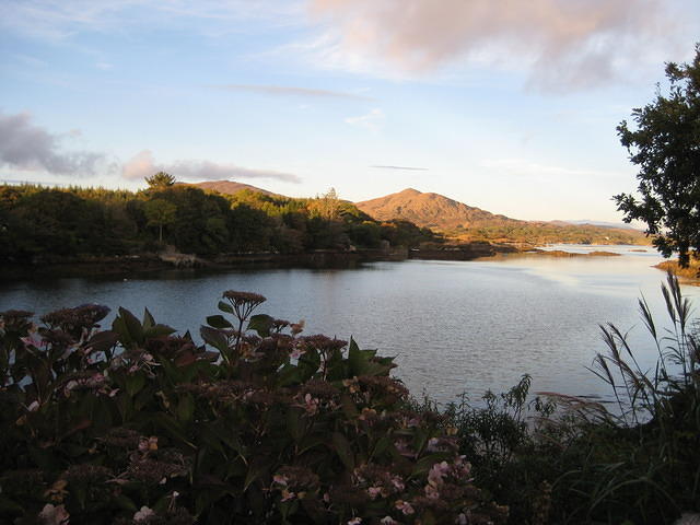 IMG 0859