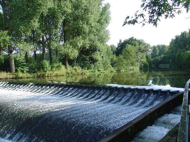 DSC03502