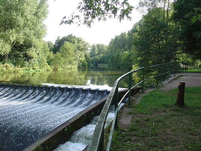 DSC03504