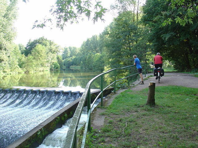 DSC03505