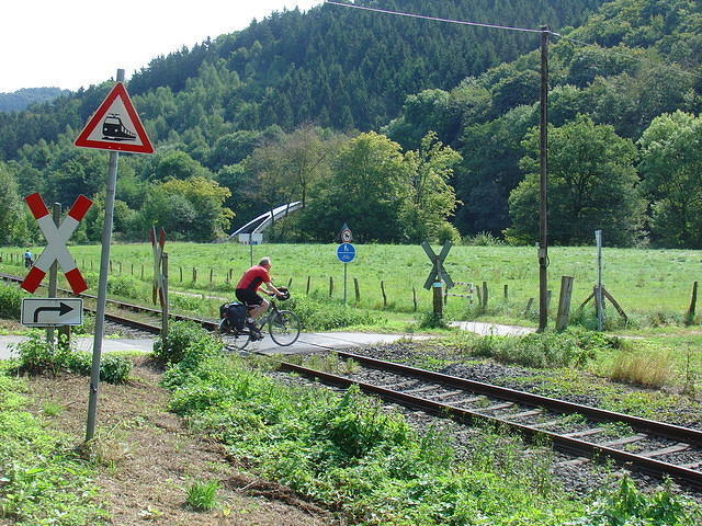 DSC03513