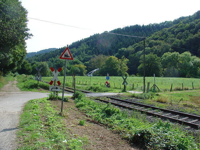 DSC03514