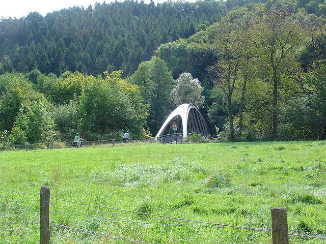 DSC03515