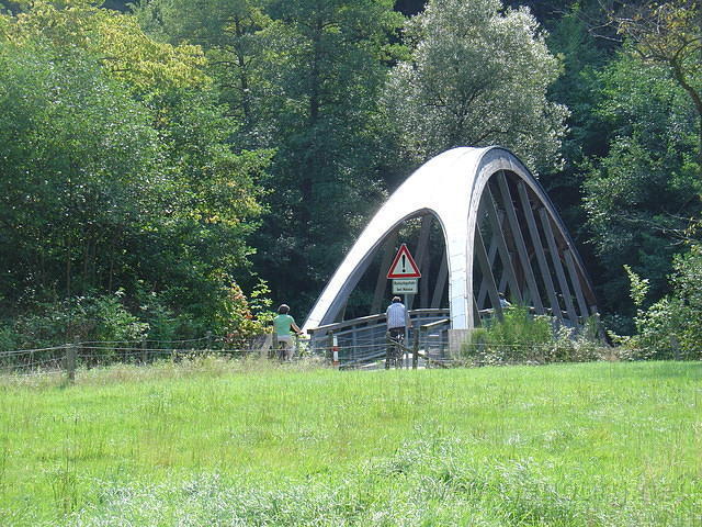 DSC03516
