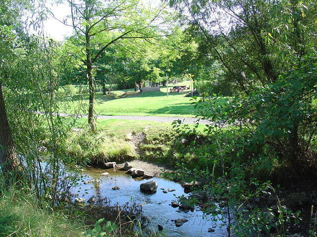 DSC03522