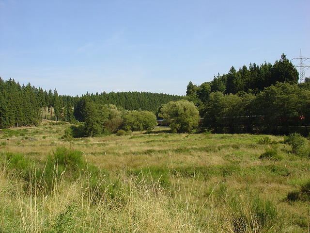 DSC03524