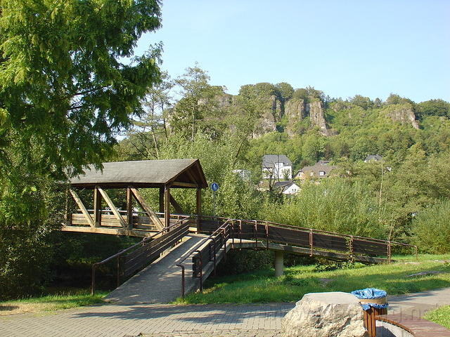 DSC03527