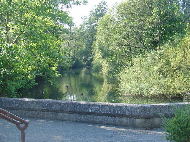 DSC03528