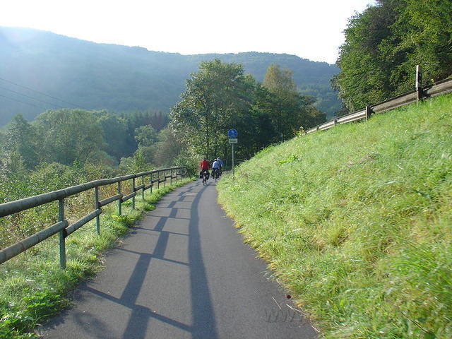DSC03541
