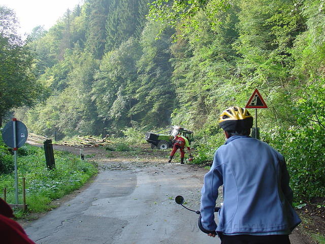 DSC03544