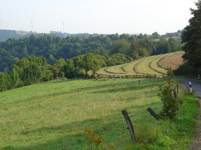 DSC03550