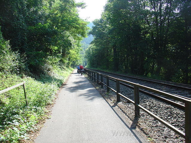 DSC03556