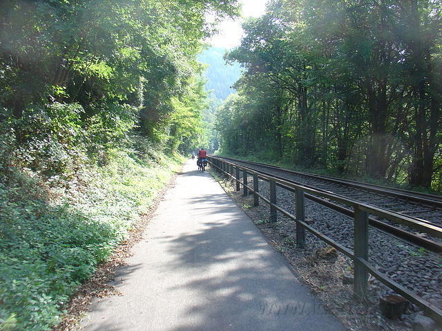 DSC03557