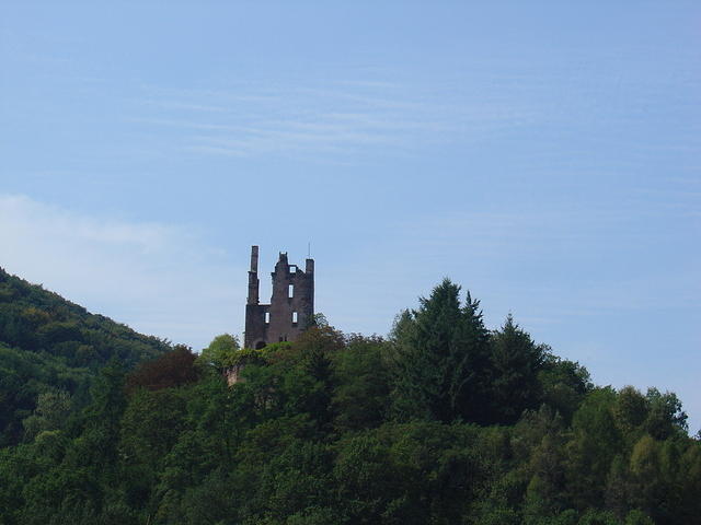DSC03558