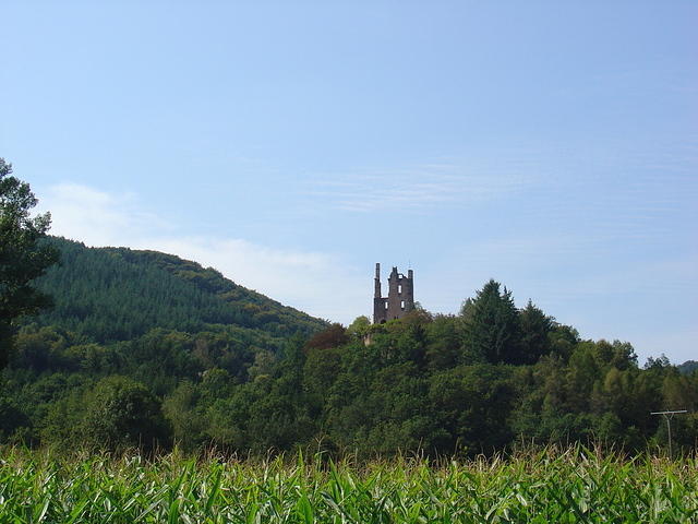 DSC03559