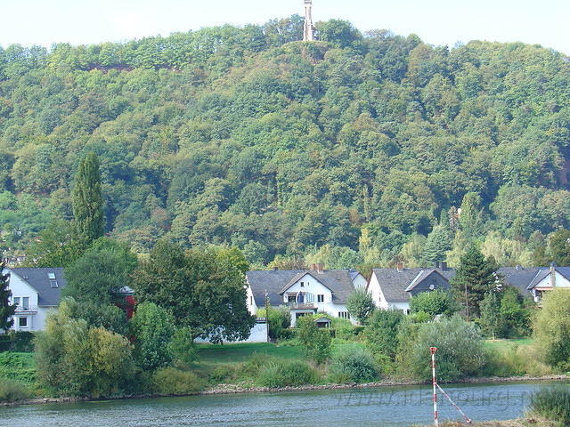 DSC03561