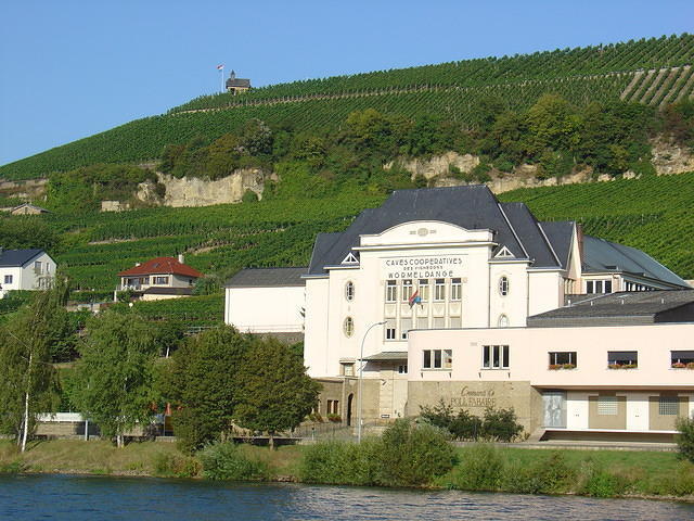 DSC03572
