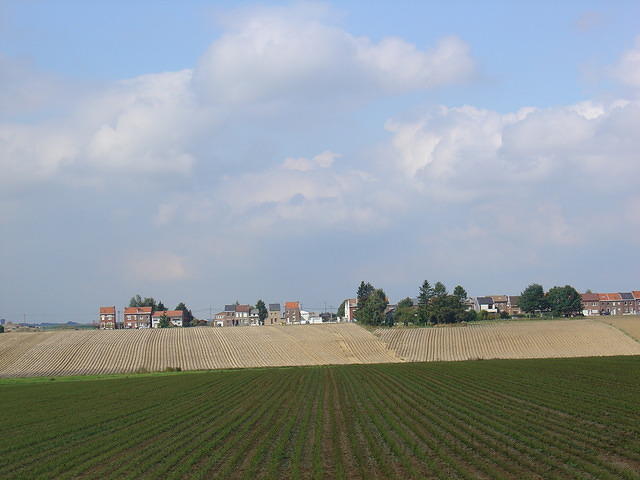 DSC03587