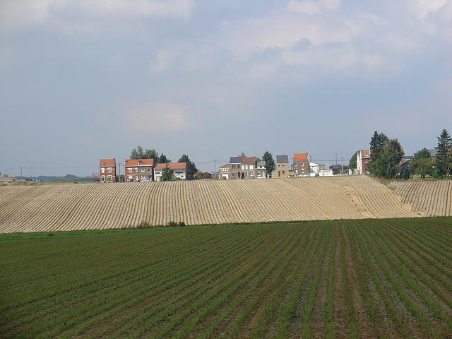 DSC03588