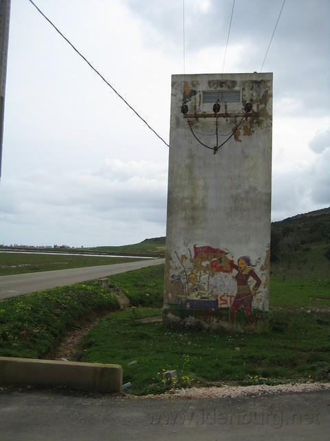 IMG 1240.r