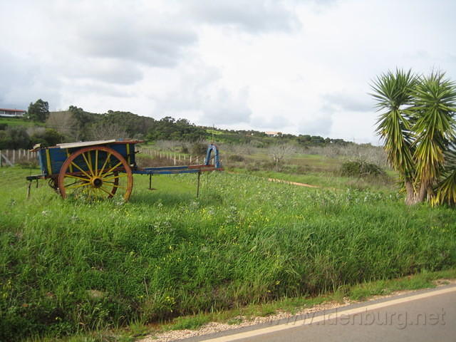 IMG 1249