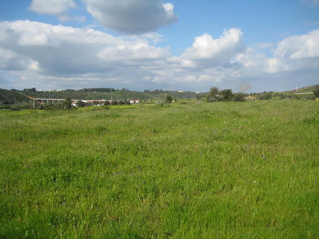 IMG 1261
